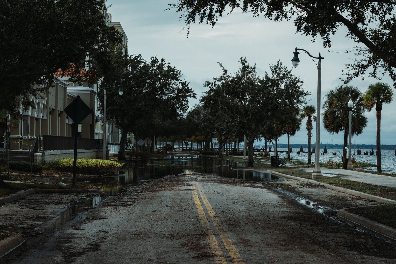Risques et sinistres
